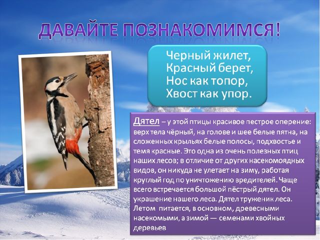 Презентация по познавательному развитию на тему "Зимующие птицы"