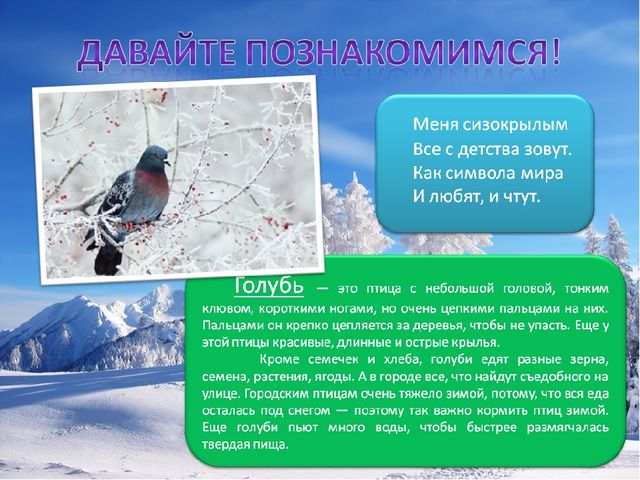 Презентация по познавательному развитию на тему "Зимующие птицы"