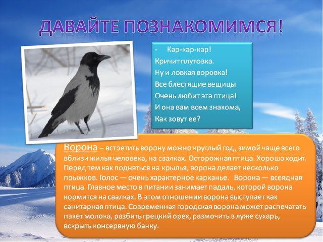 Презентация по познавательному развитию на тему "Зимующие птицы"