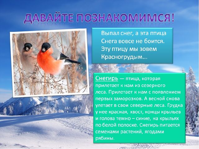 Презентация по познавательному развитию на тему "Зимующие птицы"