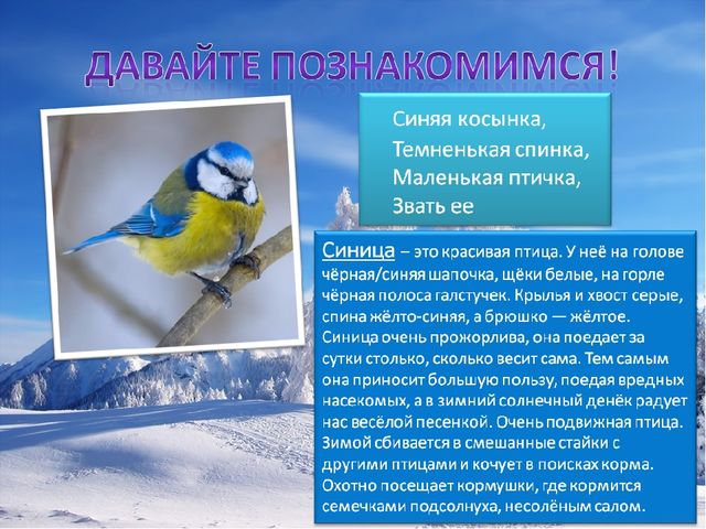 Презентация по познавательному развитию на тему "Зимующие птицы"