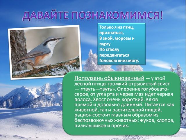 Презентация по познавательному развитию на тему "Зимующие птицы"