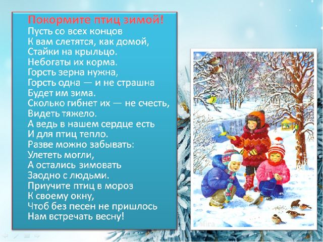 Презентация по познавательному развитию на тему "Зимующие птицы"