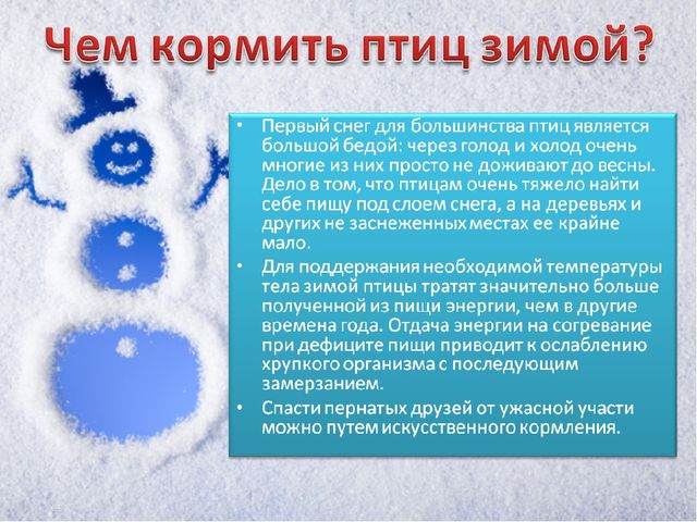 Презентация по познавательному развитию на тему "Зимующие птицы"