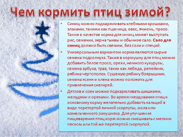 Презентация по познавательному развитию на тему "Зимующие птицы"