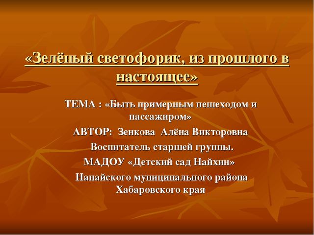 Презентация проекта по безопасности дорожного движения