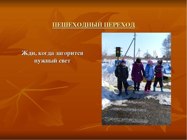 Презентация проекта по безопасности дорожного движения