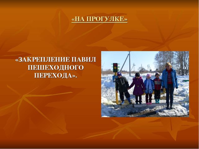 Презентация проекта по безопасности дорожного движения