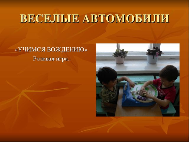 Презентация проекта по безопасности дорожного движения