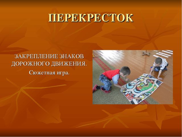 Презентация проекта по безопасности дорожного движения