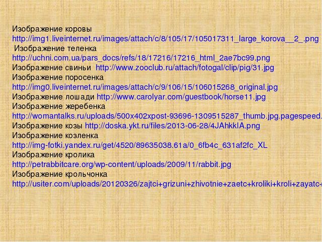 Презентация к занятию по теме "Домашние животные и их детёныши"