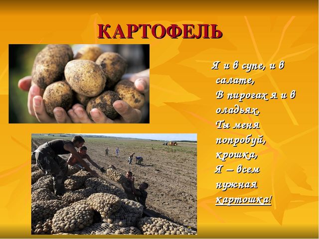 Презентация: на тему " Дары природы".
