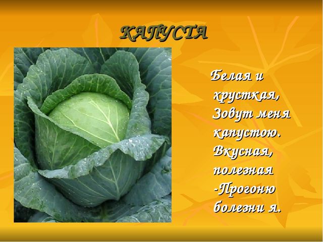 Презентация: на тему " Дары природы".