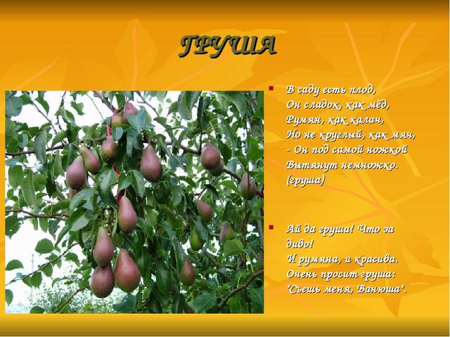 Презентация: на тему " Дары природы".