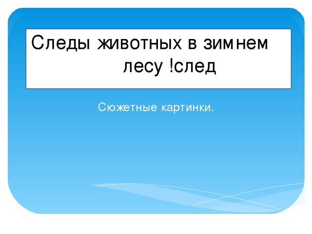 Презентация "Следы животных в зимнем лесу!"