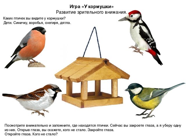 Презентация ННОД в средней группе по ОО "Развитие речи" ЗИМУЮЩИЕ ПТИЦЫ