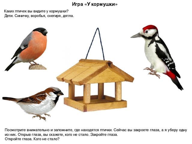Презентация ННОД в средней группе по ОО "Развитие речи" ЗИМУЮЩИЕ ПТИЦЫ