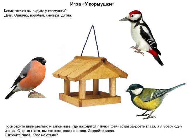 Презентация ННОД в средней группе по ОО "Развитие речи" ЗИМУЮЩИЕ ПТИЦЫ