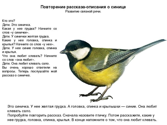 Презентация ННОД в средней группе по ОО "Развитие речи" ЗИМУЮЩИЕ ПТИЦЫ