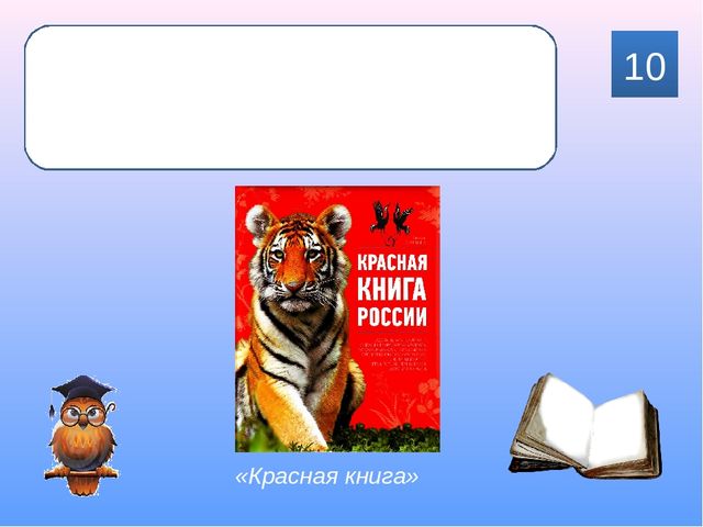 Интерактивная игра для родителей подготовительной группы "Знаю! Читаю!