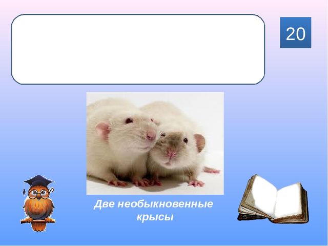 Интерактивная игра для родителей подготовительной группы "Знаю! Читаю!