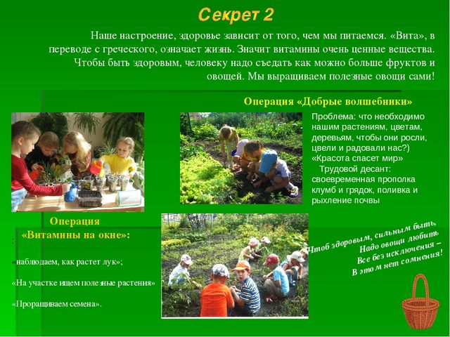 Проект "Природа и наше здоровье"