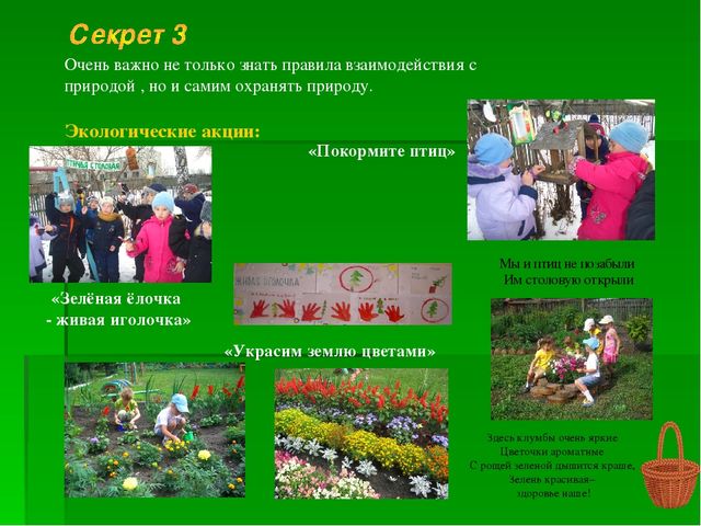 Проект "Природа и наше здоровье"