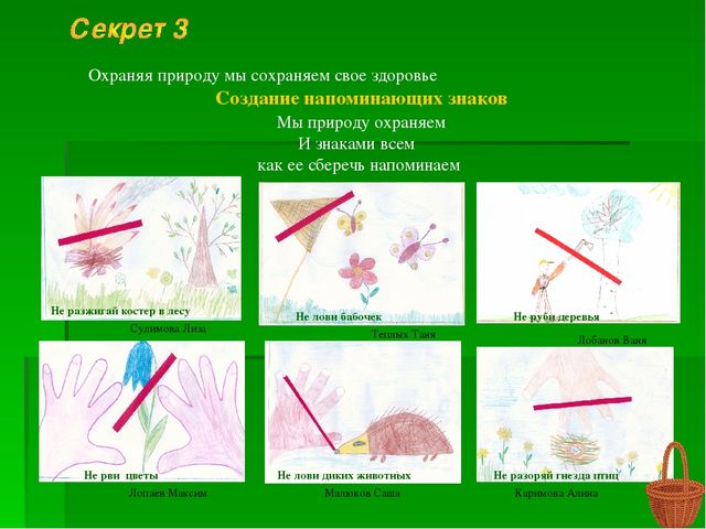 Проект "Природа и наше здоровье"