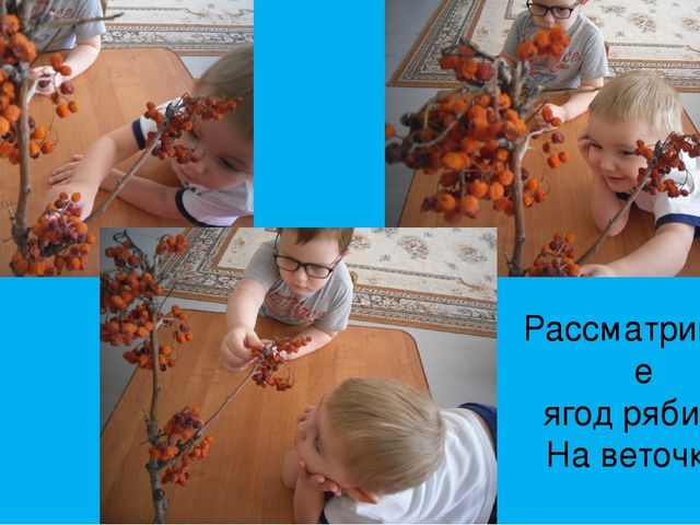Презентация интегрированного занятия в 1-й младшей группе по изобразительной деятельности "ягодки рябины"