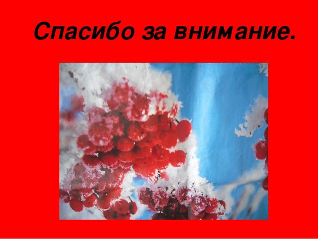 Презентация интегрированного занятия в 1-й младшей группе по изобразительной деятельности "ягодки рябины"