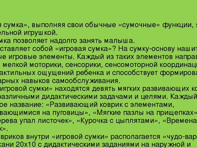 Многофункциональная игрушка "игровая сумка"