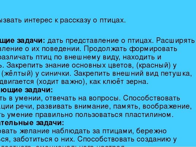 Презентация фотоотчета новогодний слет птиц