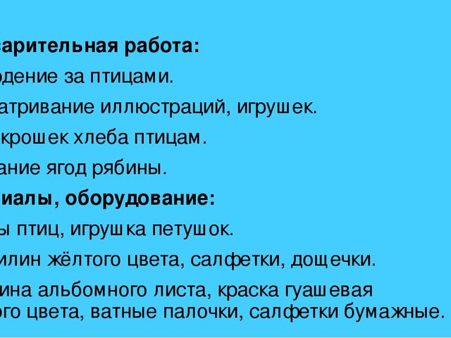 Презентация фотоотчета новогодний слет птиц
