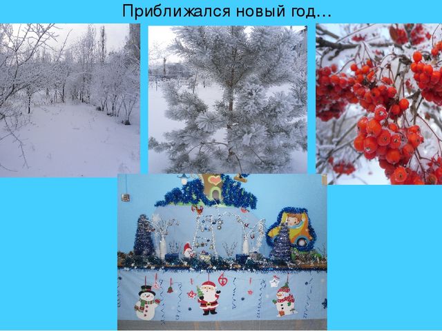 Презентация фотоотчета новогодний слет птиц