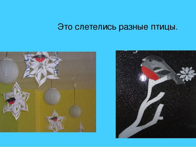 Презентация фотоотчета новогодний слет птиц