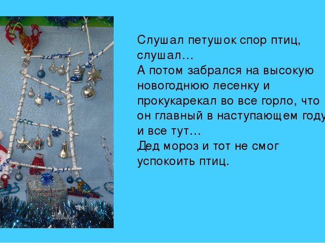 Презентация фотоотчета новогодний слет птиц