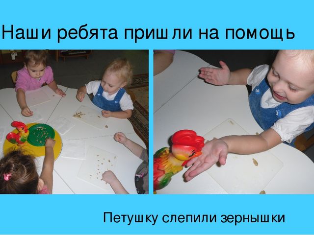 Презентация фотоотчета новогодний слет птиц