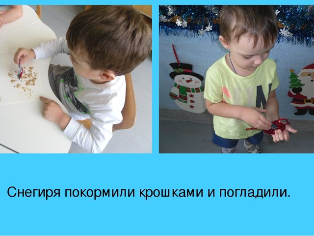 Презентация фотоотчета новогодний слет птиц