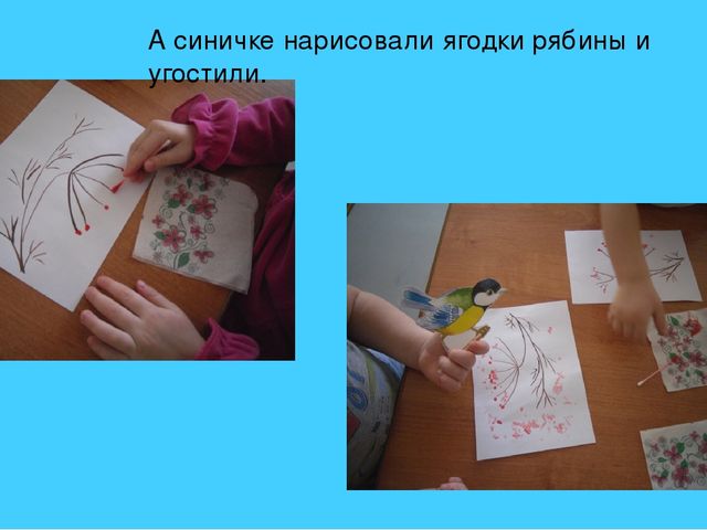 Презентация фотоотчета новогодний слет птиц