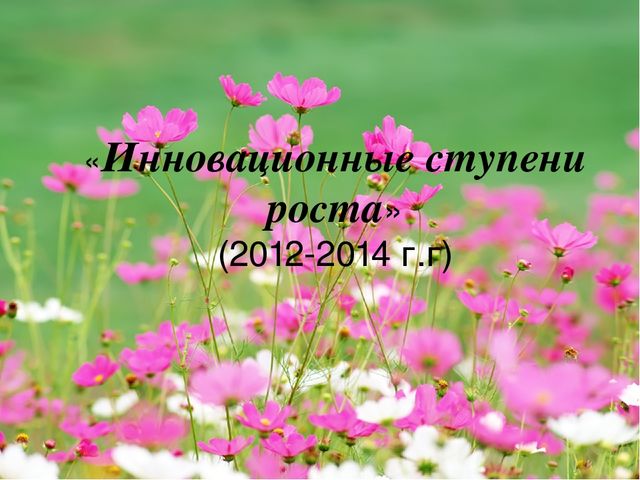 Презентация на тему "Инновационные ступени роста"