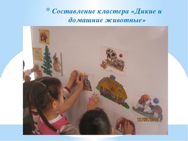 Презентация на тему "Инновационные ступени роста"