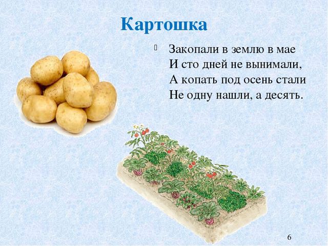 Презентация к НОД на тему "Что растет на огороде и в саду"