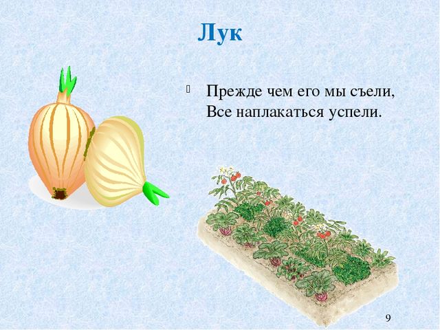 Презентация к НОД на тему "Что растет на огороде и в саду"