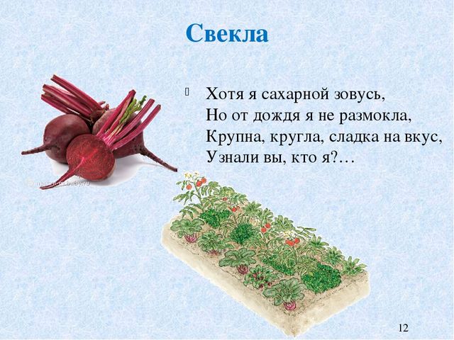 Презентация к НОД на тему "Что растет на огороде и в саду"