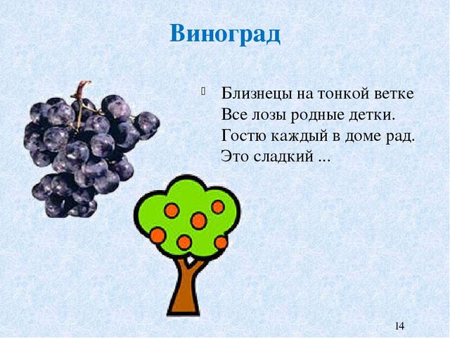 Презентация к НОД на тему "Что растет на огороде и в саду"