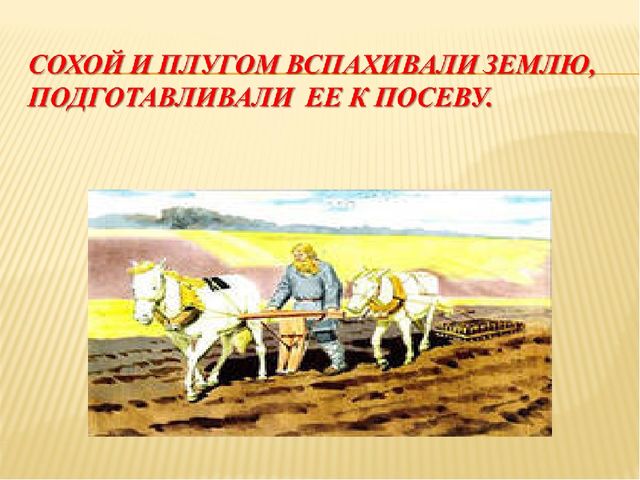 Презентация на тему "Как наши предки выращивали хлеб"