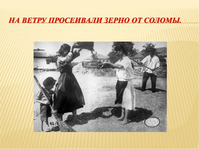 Презентация на тему "Как наши предки выращивали хлеб"