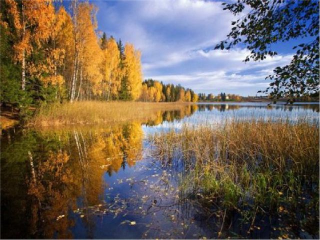Презентация по ознакомлению с окружающим "Сентябрь, Октябрь, Ноябрь..."