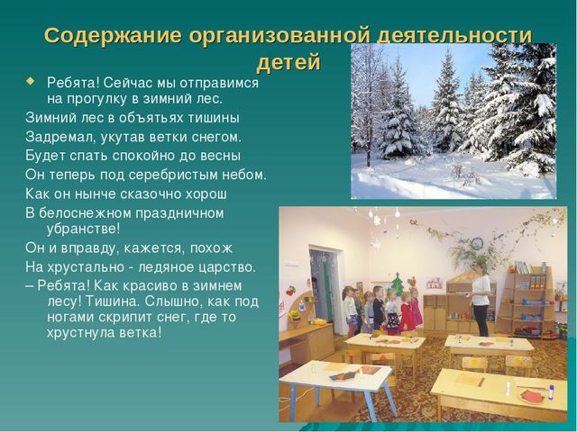 Презентация по познавательно-речевому развитию «Зимующие птицы. Путешествие в зимний лес».