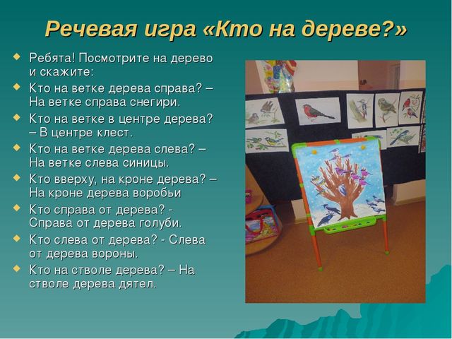 Презентация по познавательно-речевому развитию «Зимующие птицы. Путешествие в зимний лес».